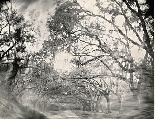 Sally-Mann 3.jpg